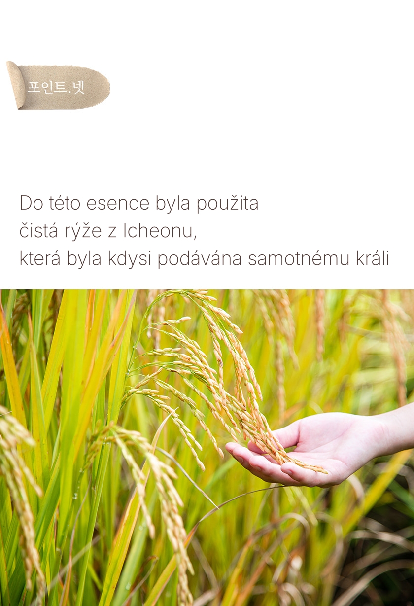 1.2. Detailed Page Rice Makgeolli Probio Cream In Esseence